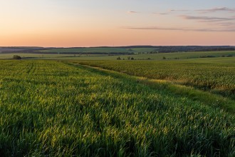 Ukraine agricultural field